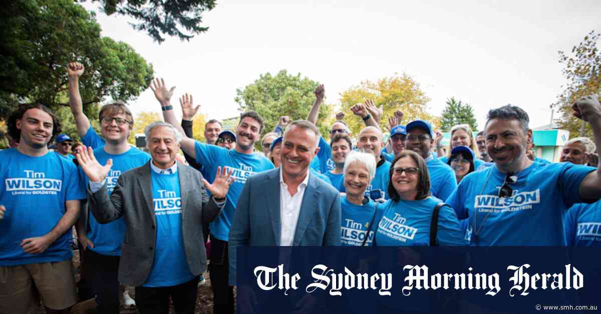 Dutton ‘had written me off’: How Tim Wilson won back Goldstein, despite Liberal baggage