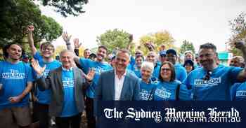Dutton ‘had written me off’: How Tim Wilson won back Goldstein, despite Liberal baggage