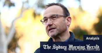 The Greens bet on Gaza and may have lost the House