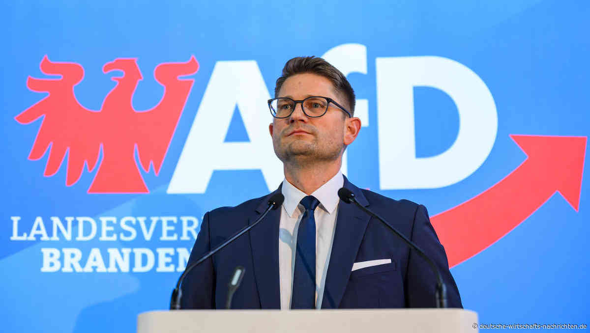 AfD Brandenburg ebenfalls als gesichert rechtsextrem eingestuft - nach Rausschmiss vom Verfassungsschutzchef