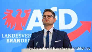 AfD Brandenburg ebenfalls als gesichert rechtsextrem eingestuft - nach Rausschmiss vom Verfassungsschutzchef