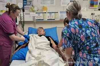 Swimmer's close brush with death after stingray narrowly misses artery in rare attack