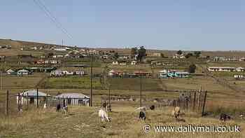 Raging 'warrior' mother 'beats rapist to death with the help of furious mob after finding her disabled daughter undressed in his house' in South Africa