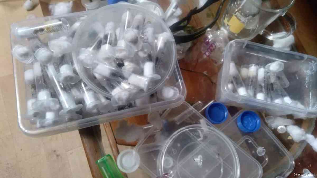 Poging tot mierensmokkel uit Kenia levert Belgische tieners forse boete op