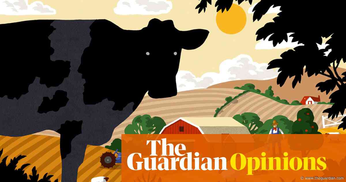 New reports tell us cattle and sheep farming can be sustainable – don’t believe them, it’s all bull | George Monbiot