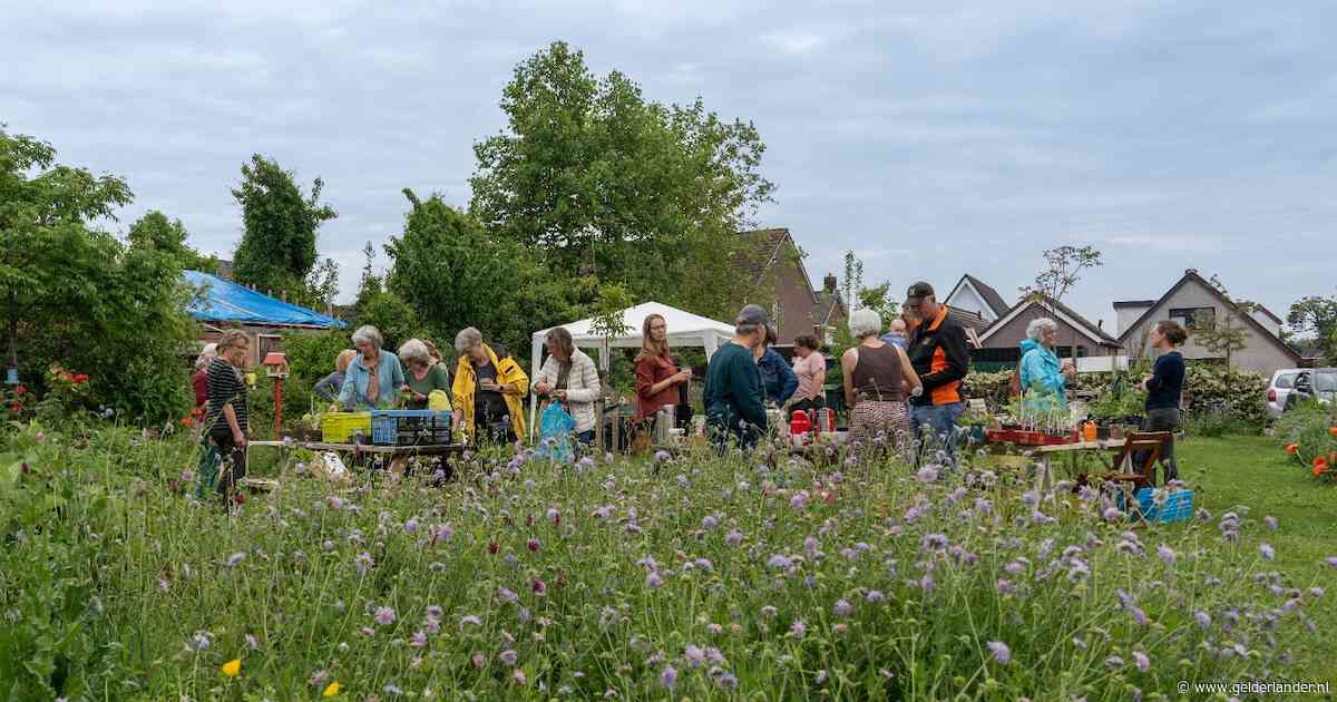Dorpstuin Rheden houdt plantenbeurs