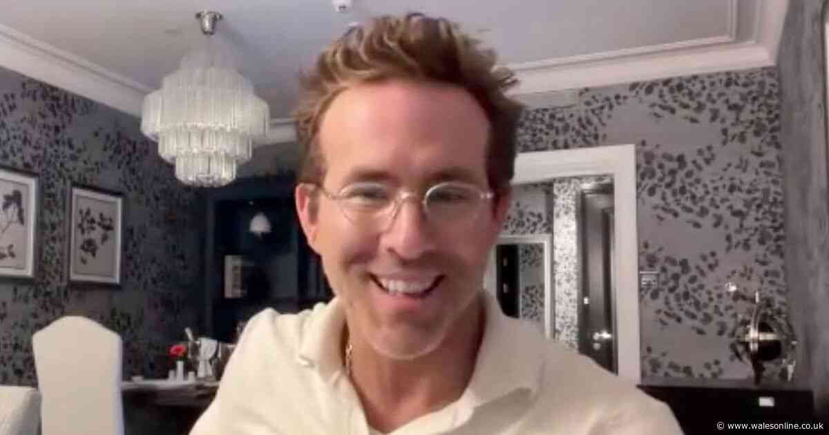 Wrexham director told Ryan Reynolds to stop doing one thing at matches