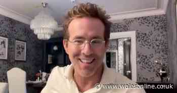 Wrexham director told Ryan Reynolds to stop doing one thing at matches