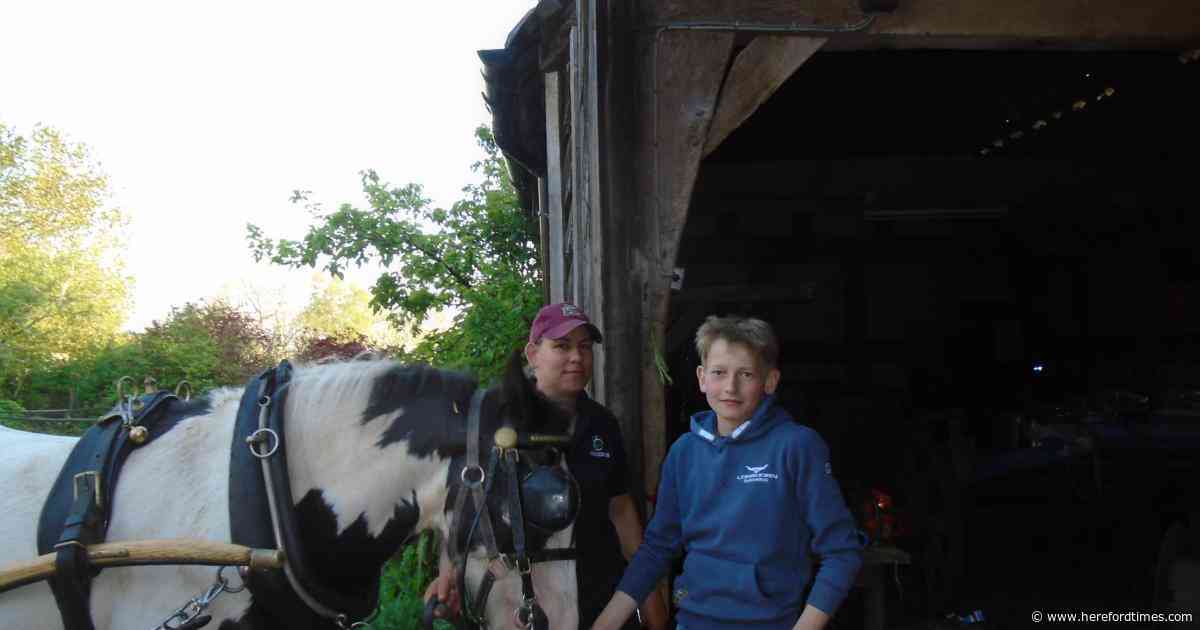 Horse-drawn mill to welcome visitors with dray rides and cider