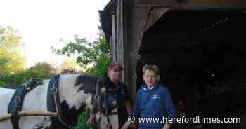 Horse-drawn mill to welcome visitors with dray rides and cider