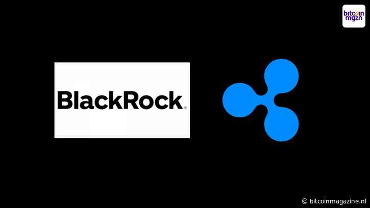 Geruchten over samenwerking Ripple en BlackRock beïnvloeden XRP koers
