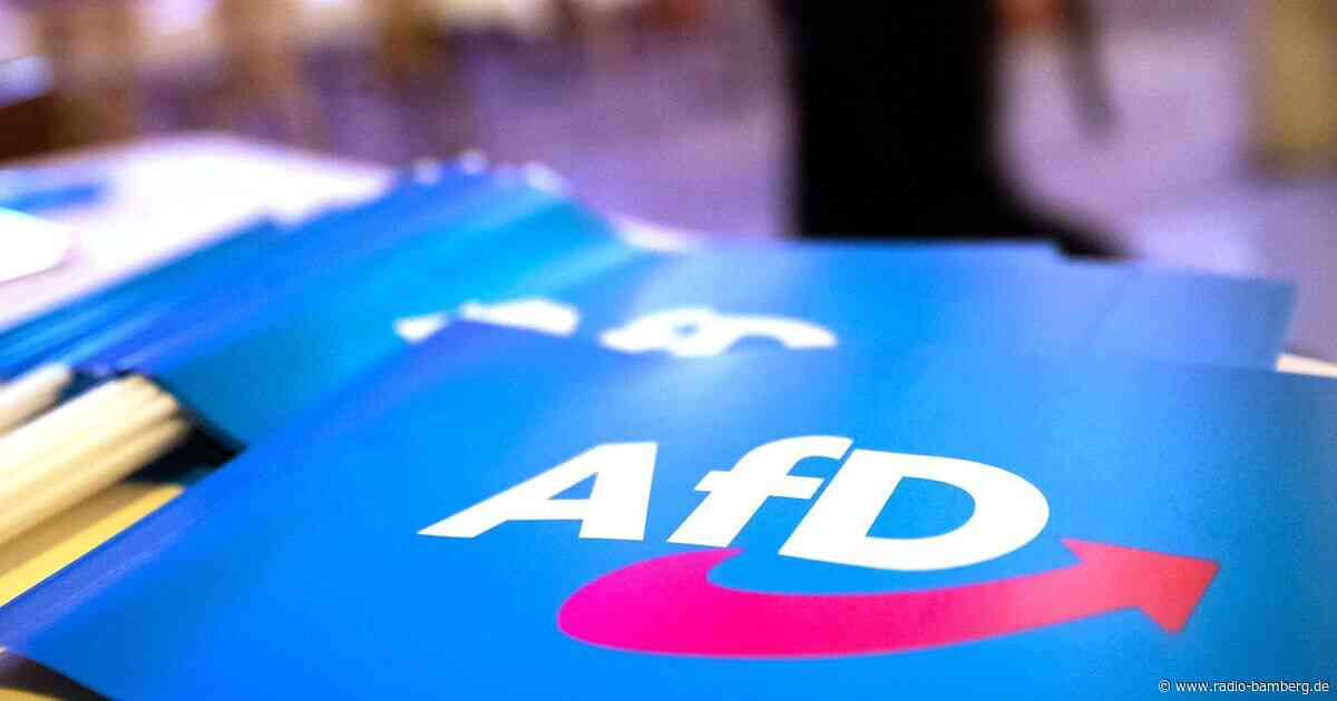 Verfassungsschutz beobachtet zweiten AfD-Abgeordneten