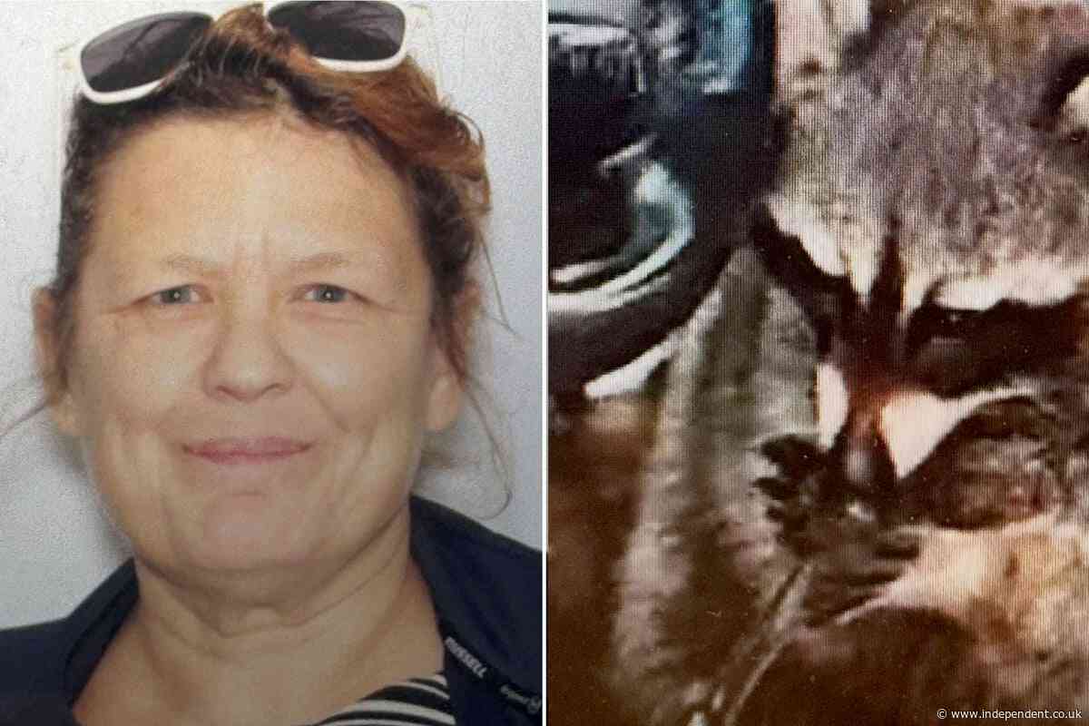 Racoon found ‘playing’ with meth pipe in driver’s seat during Ohio traffic stop