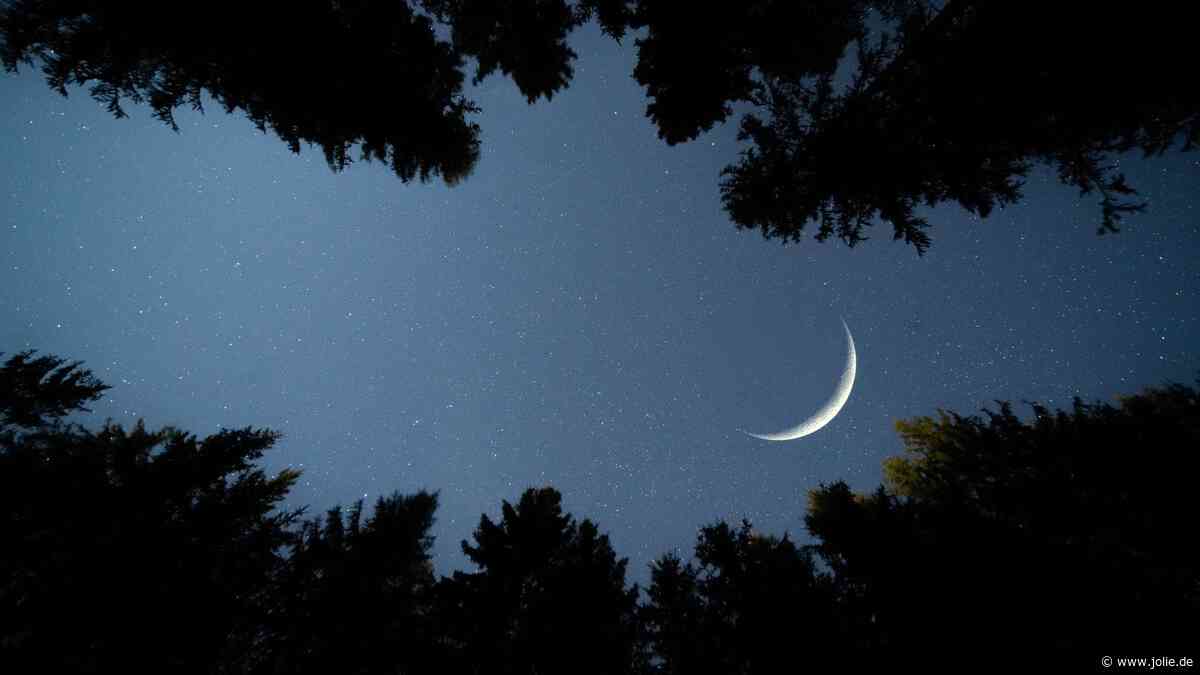 Treffen von Mond und Antares: 3 Sternzeichen erlangen wichtige Erkenntnisse