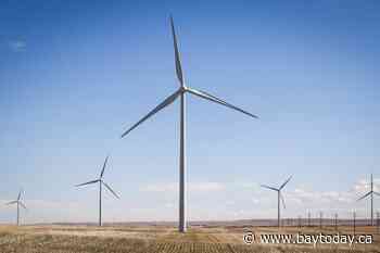 Power utility TransAlta reports first-quarter profit down from year ago