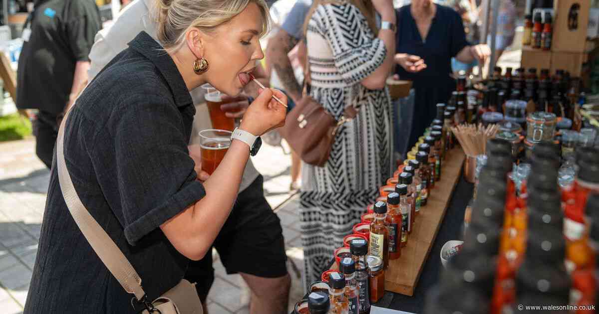 AD FEATURE: Spice up your life at this returning Welsh Chilli and Chocolate Festival
