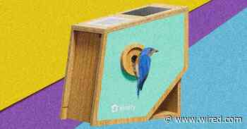 Birdfy Nest Polygon Smart Birdhouse Review: Primed for Pictures