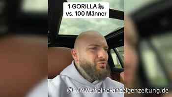 Deutsche Kampfsportgröße spricht Klartext: „Gorilla verliert gegen 100 Männer“
