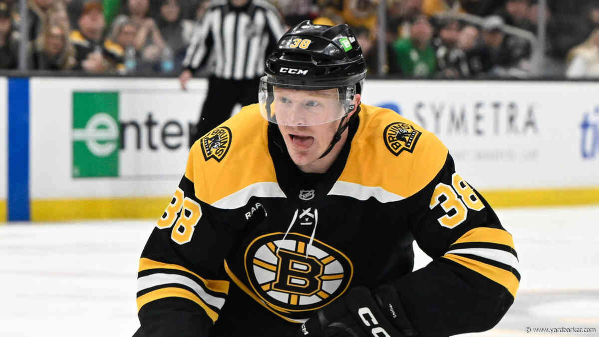 Boston Bruins Extend Veteran Center on One-Year Deal