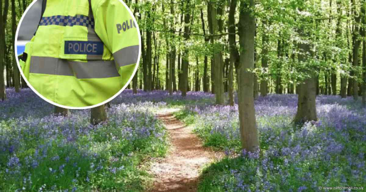 Police update issued after teen arrested following woodland rave