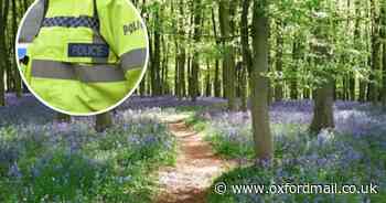 Police update issued after teen arrested following woodland rave