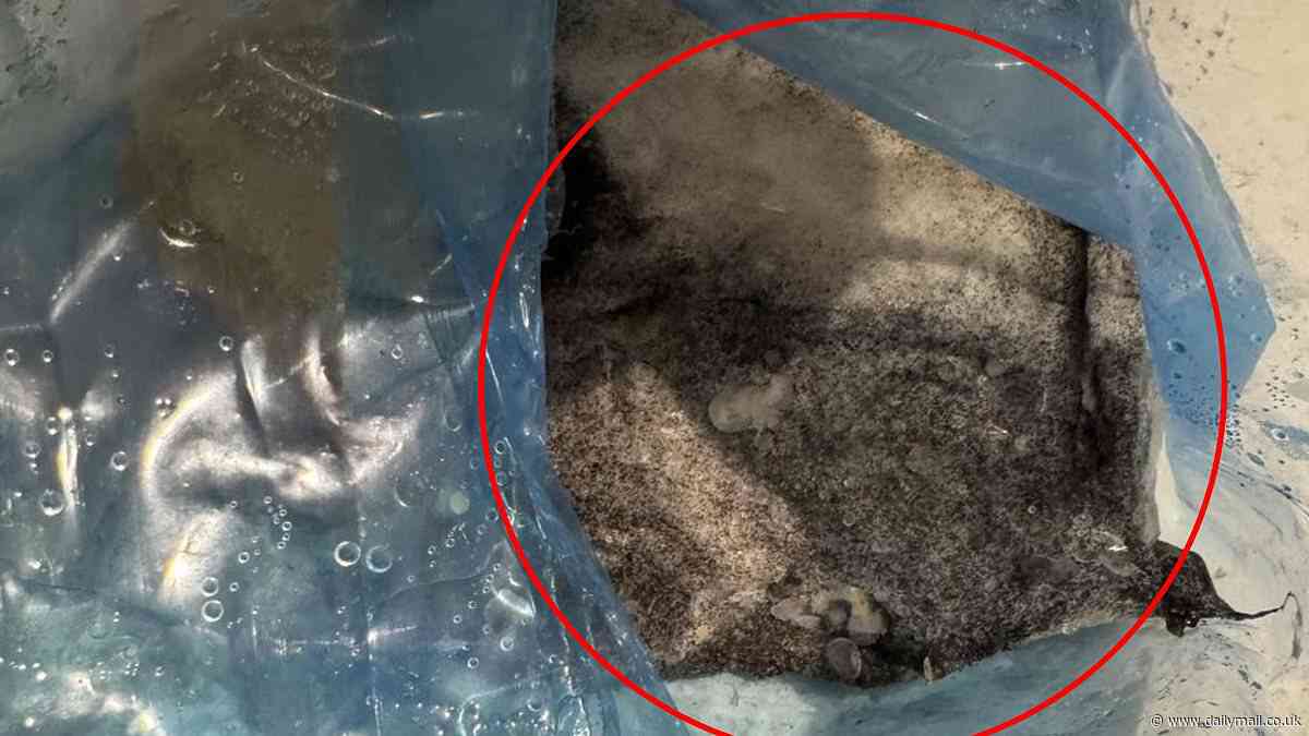 Horrified mother uncovers revolting items inside her 'click and collect' groceries: 'Smelled foul'