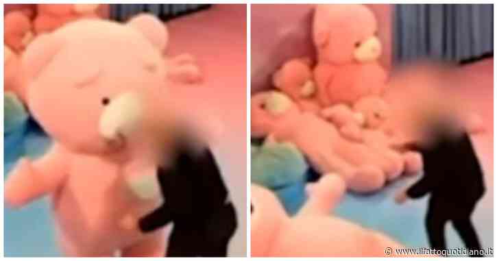 Una donna vestita da orso per una mostra viene presa a pugni da un visitatore: “È stato come un terremoto. Io sono caduta giù e ho iniziato ad urlare”