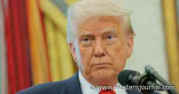 Trump's Aggressive Crackdown on Illegal Immigration Is Saving American Lives