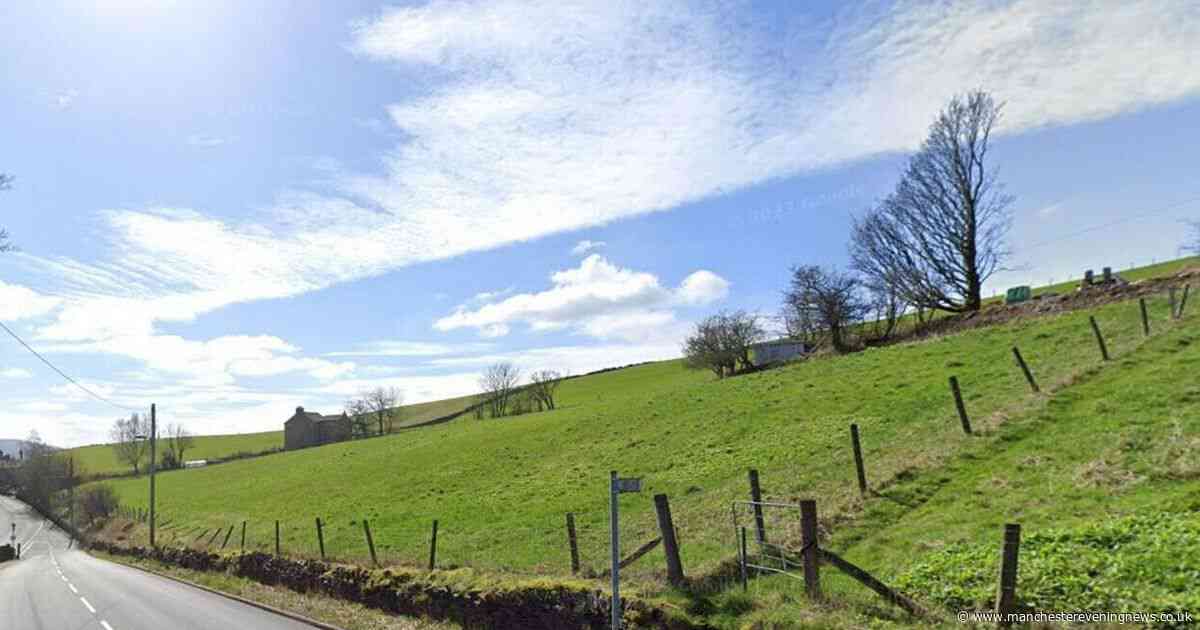 The field in one Greater Manchester town where you pay to walk your dog