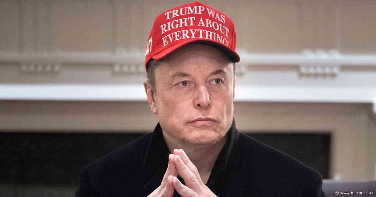Elon Musk posts throwback college photo and people all make same comment