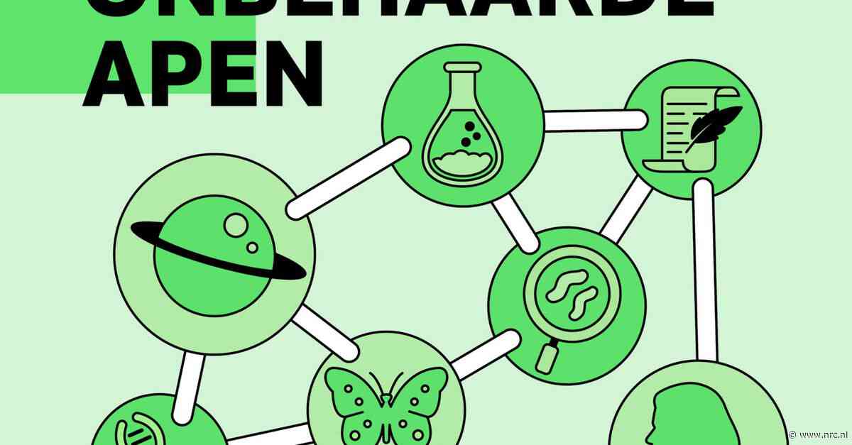 De viering van absurde wetenschap