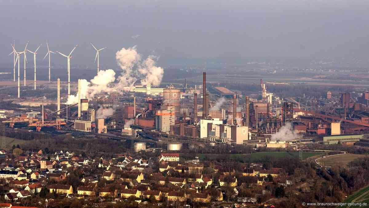 Papenburg, Performance und kurz mal Panik bei der Salzgitter AG