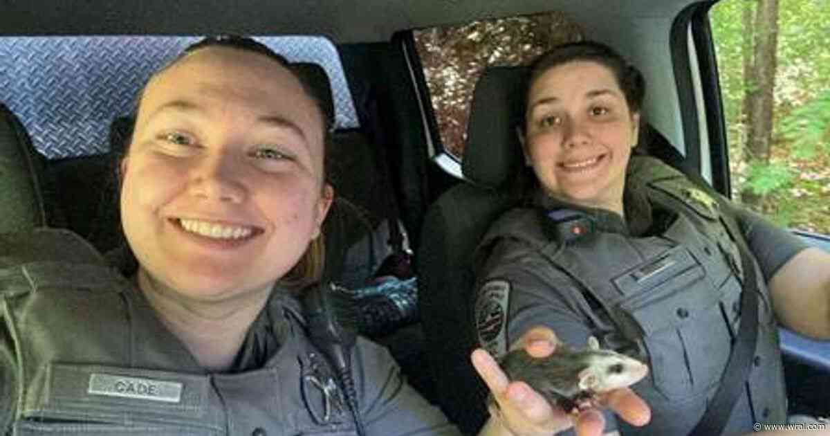 Chatham County heroes: officers rescue trapped baby opossum