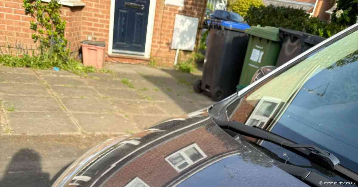 Woman's rude awakening as she finds couple 'fully going for it' on her car