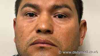 Another notoriously dangerous El Salvador gangster arrested in blue state that insists it doesn't have a problem