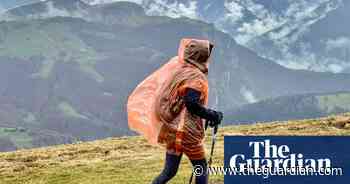 Delightful dandelions and golden rocks – readers’ best photographs