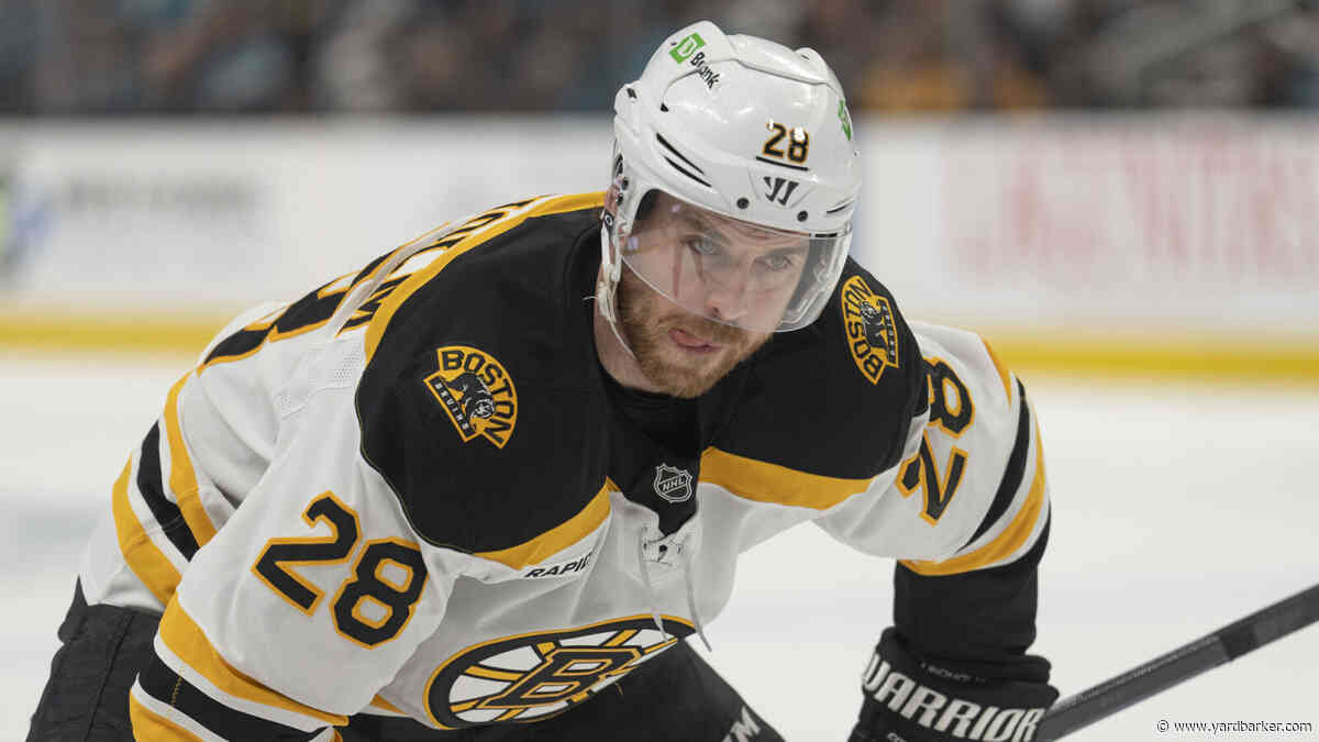 Boston Bruins Center Playing in World Championship for Sweden
