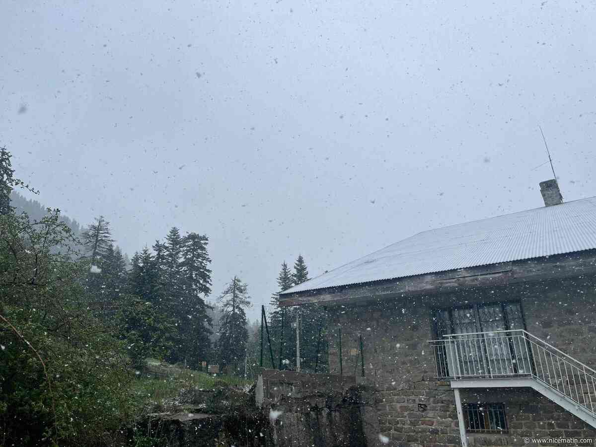 "Ça tapait bien, c'était un peu douloureux": plusieurs orages de grêle éclatent dans les Alpes-Maritimes