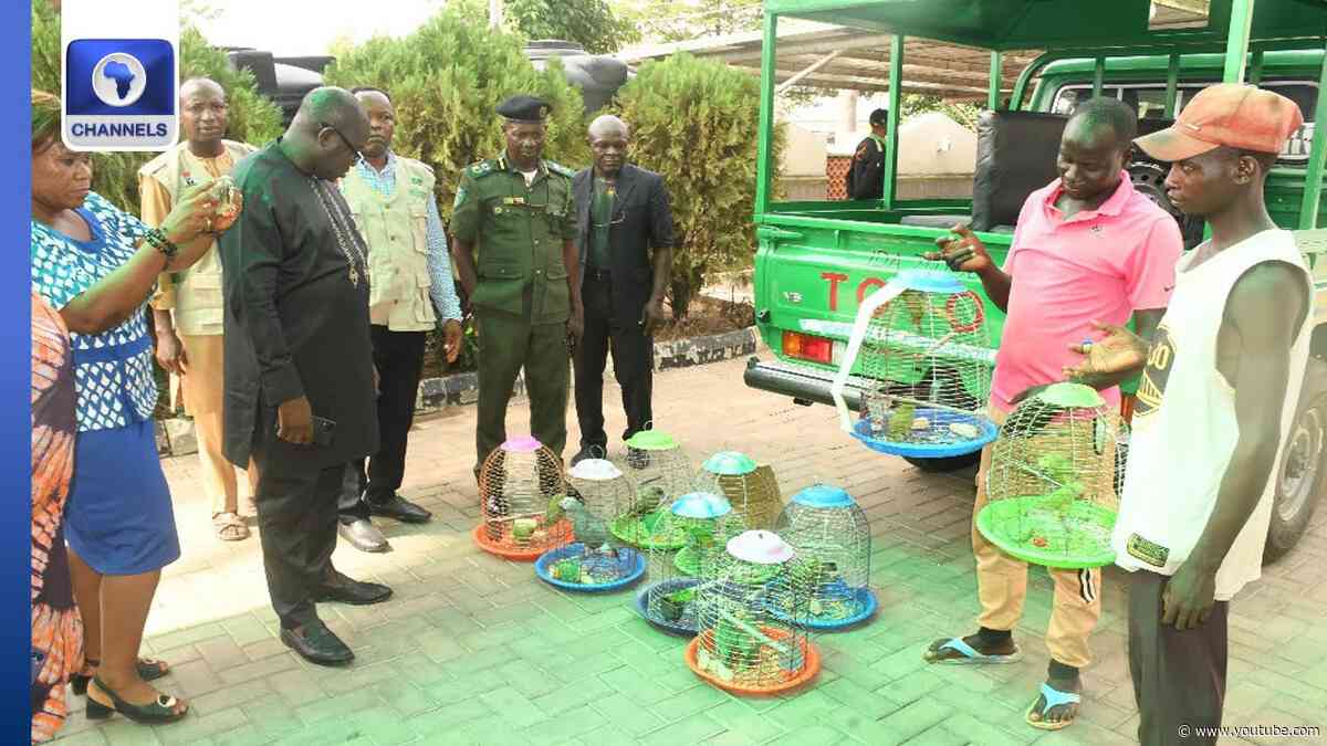 NESREA Arrests Three For Illegal Trade In Endangered Wildlife