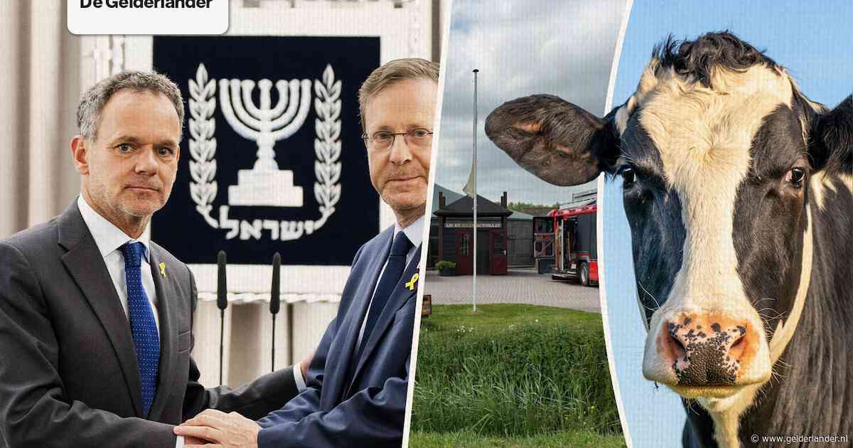 Nieuws van de dag | Zeven koeien dood door giftige meststoffen • Minister Veldkamp wil Europese samenwerking met Israël pauzeren