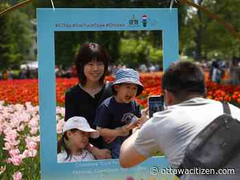 More than flowers: This year's Tulip Festival will shower Ottawa with photo ops, fireworks and free movie screenings