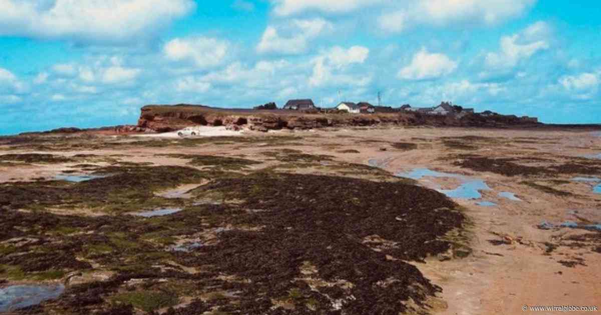 Art project will see Hilbre Island become a hub for art and ecology