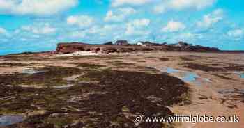 Art project will see Hilbre Island become a hub for art and ecology