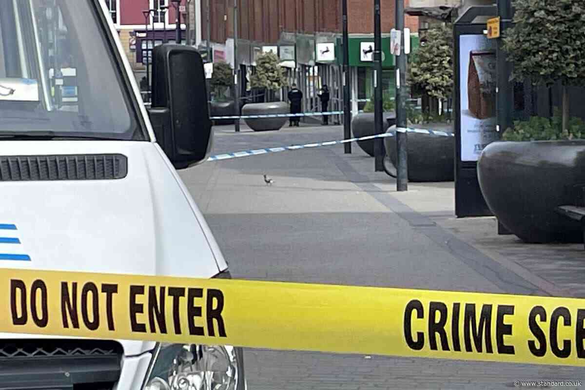 Police probing fatal stabbing of bank customer ‘not looking for anyone else’