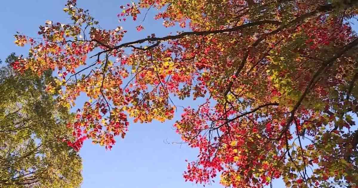 NC breaks tourism spending record, remains 5th most visited state in 2024