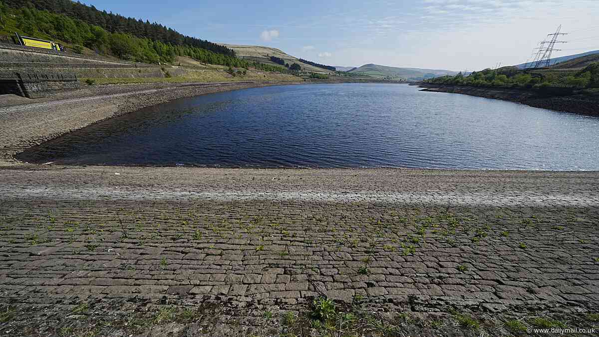 England facing summer drought after driest start to spring in generations brings low reservoirs, struggling crops and wildfires