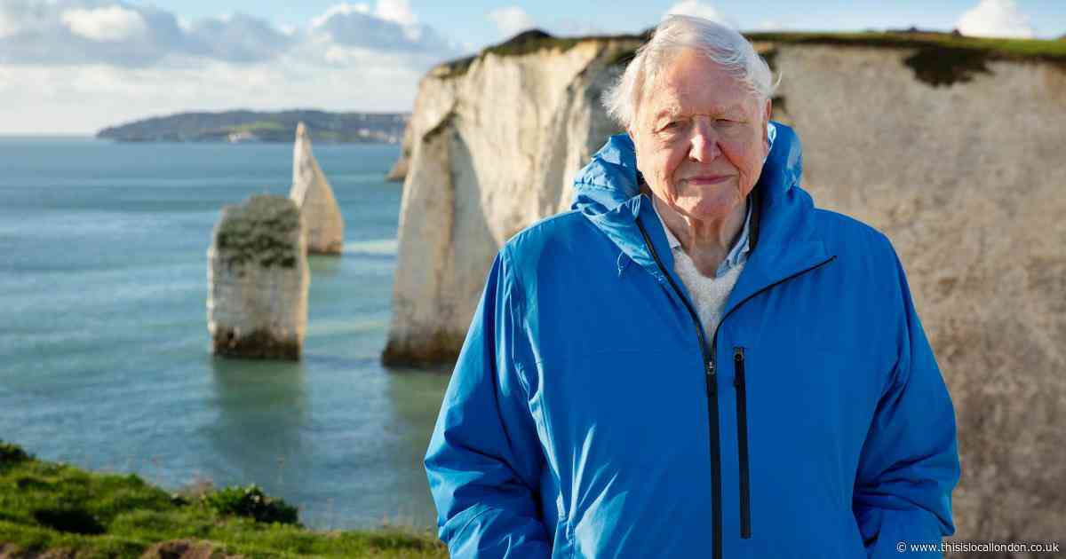 All to know about Sir David Attenborough's new documentary (and how to watch it)