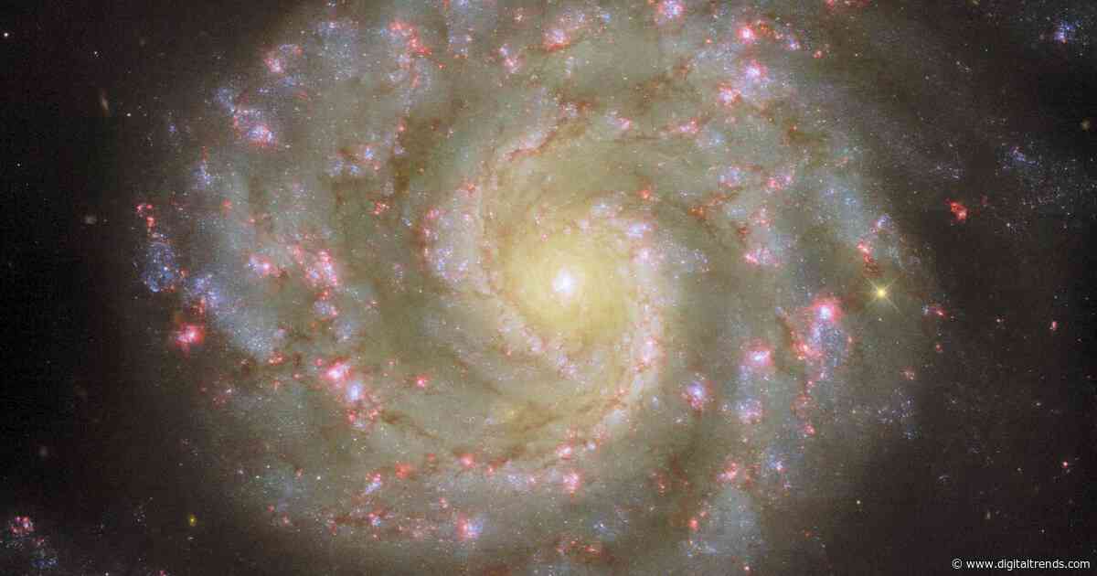 Hubble images two spiral galaxies: one perfect and one peculiar