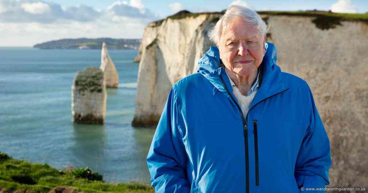 All to know about Sir David Attenborough's new documentary (and how to watch it)