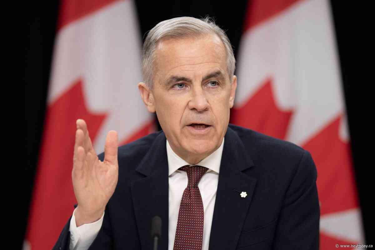 CEOs call on Carney to 'take action' to support domestic energy sector